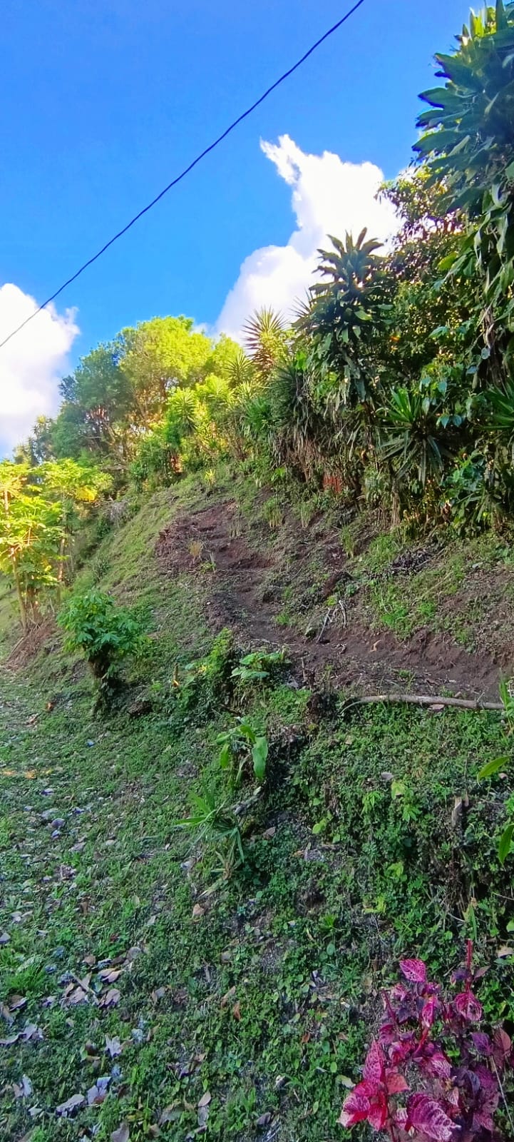 CAP-TAL-FR-001